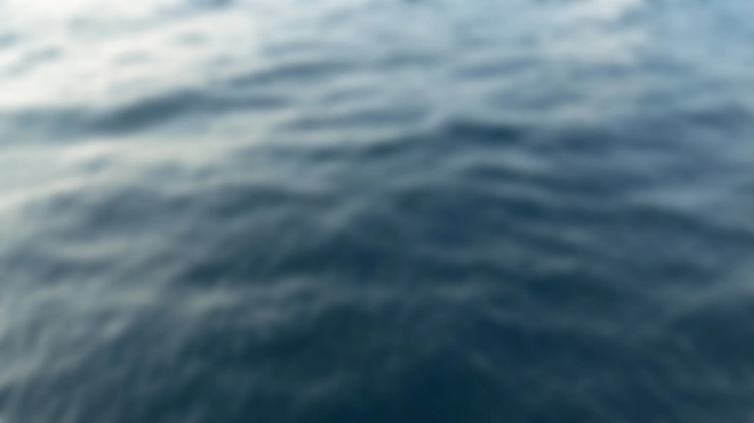 AMFV8736_still 2.jpg