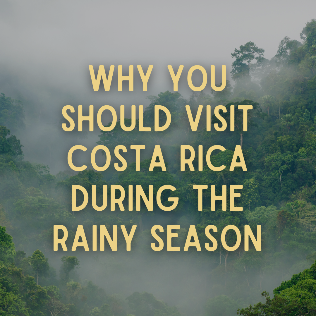 Why You Should Visit Costa Rica During the Rainy Season