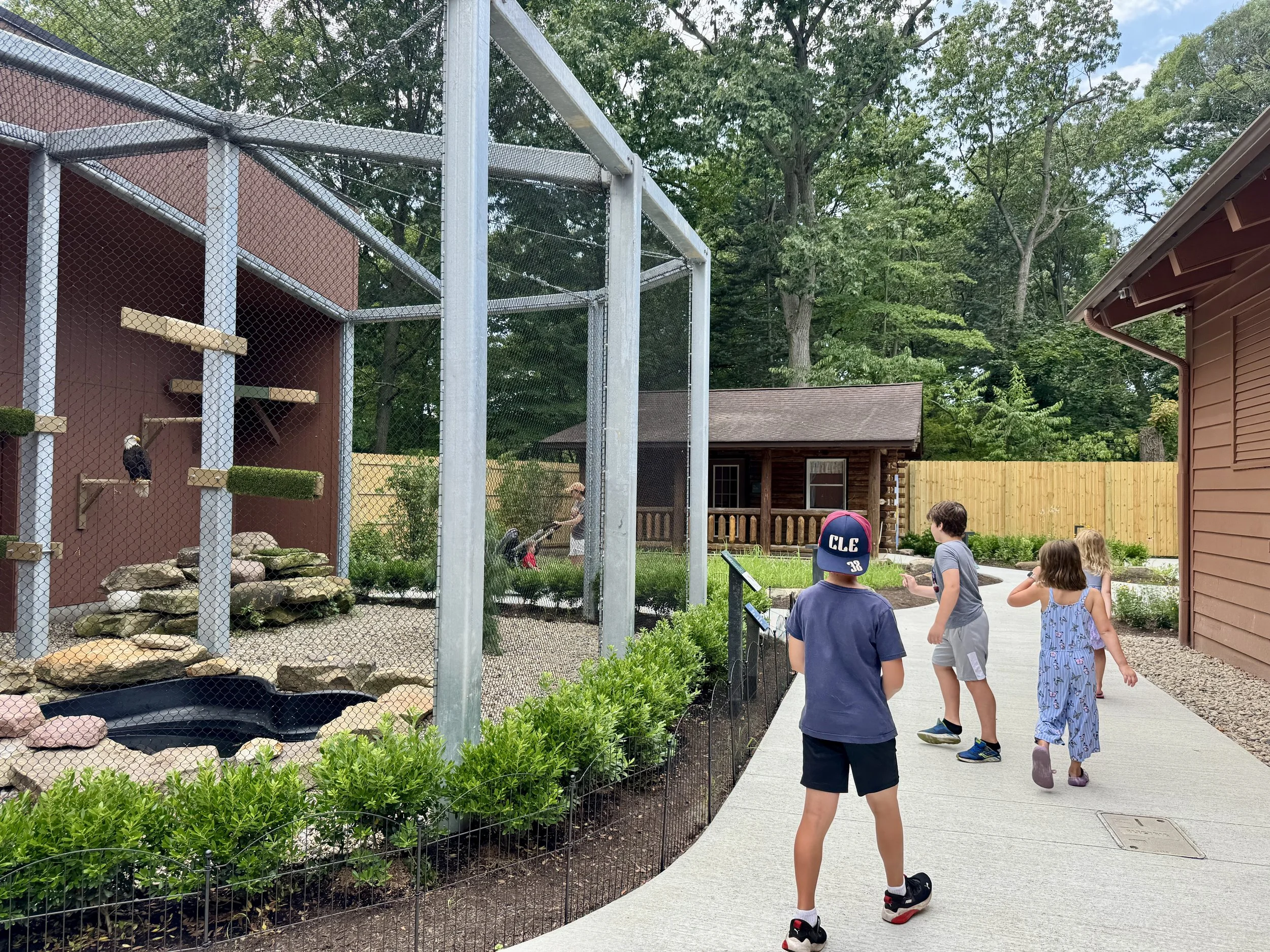 Large cage with a eagle inside and kids looking at it