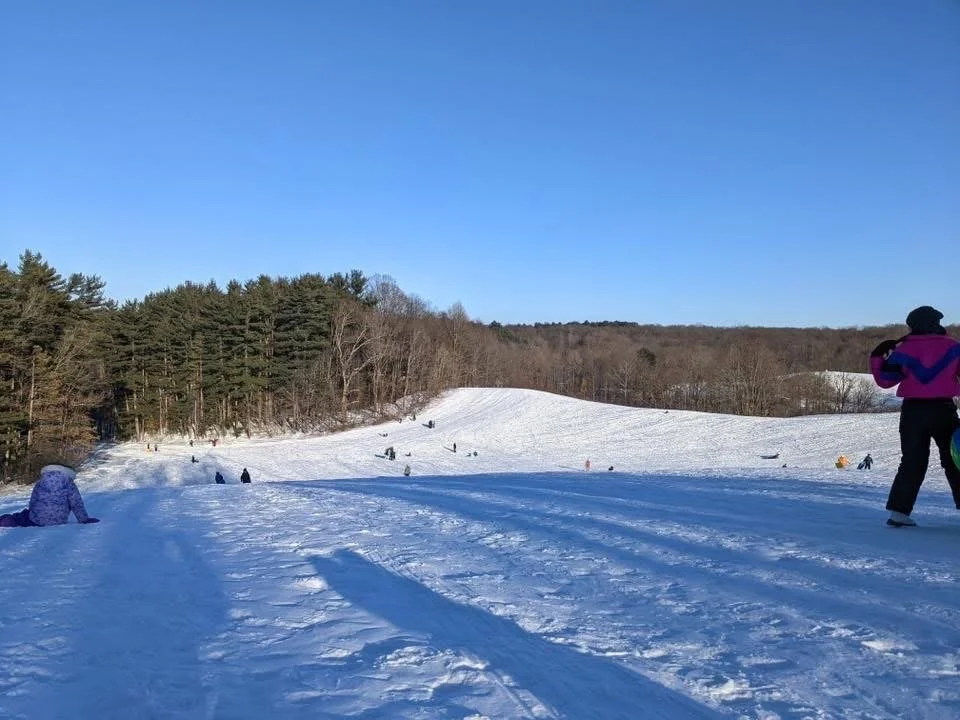 Large sledding hill with several people sledding