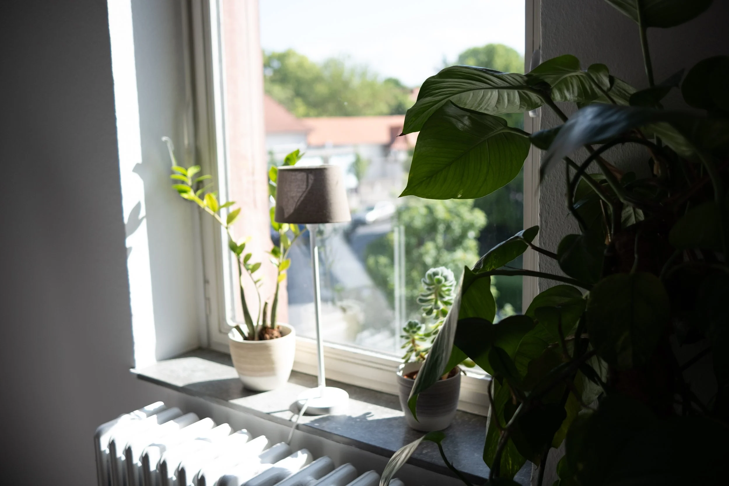 Beratungsraum mit Blick aus dem Fenster ins Herz von Bad Nauheim, die Trinkkuranlage und das Pallais. Die Fensterbank ist geschückt mit einer kleinen Lampe und ansprechenden grünen Pflanzen.