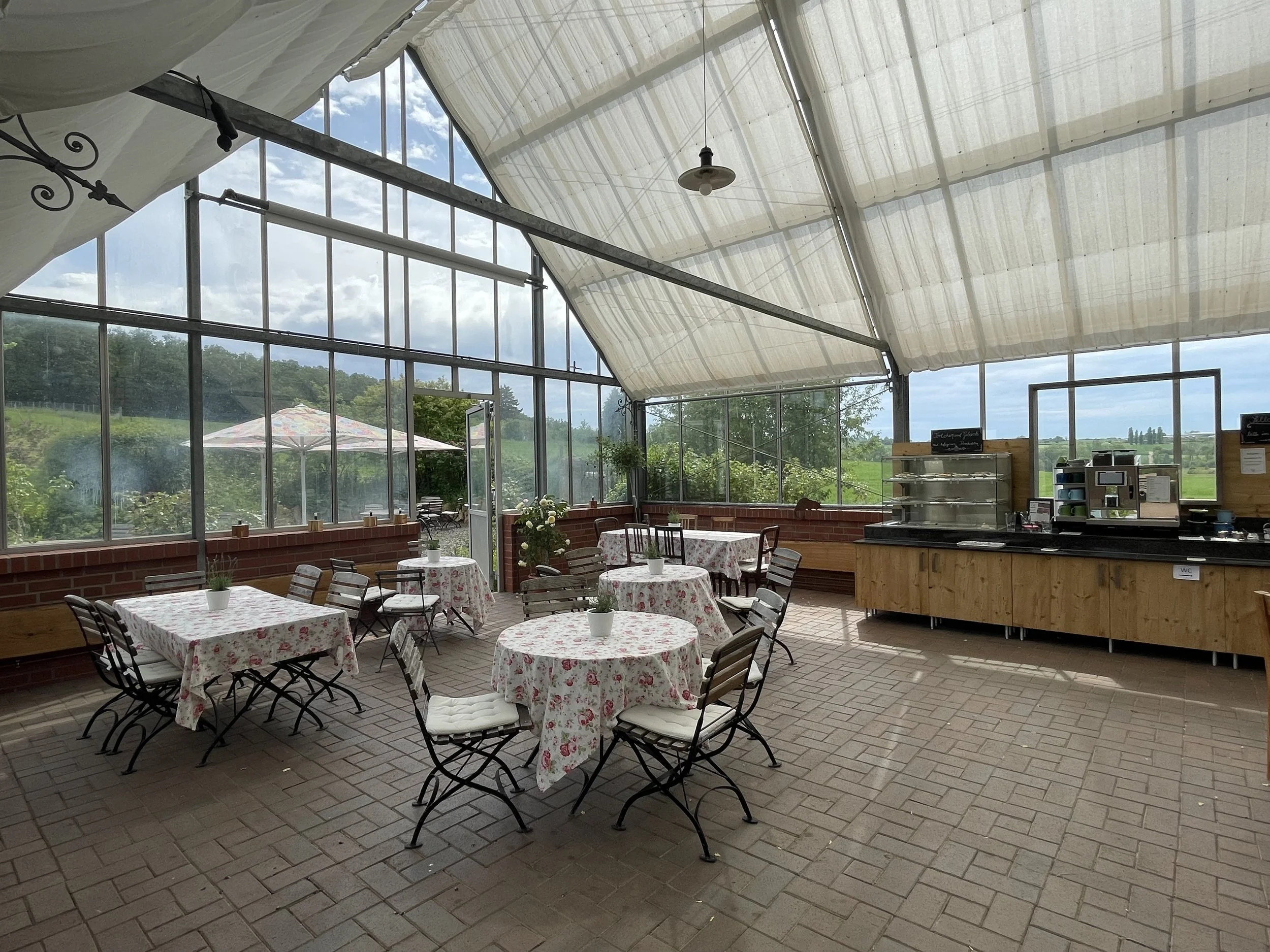 Innenansicht - Das Gewächshaus der Rosenschule Ruf in Bad Nauheim ist ein Selbstbediener Cafe und wird für den Kreativworkshop als Raum genutzt