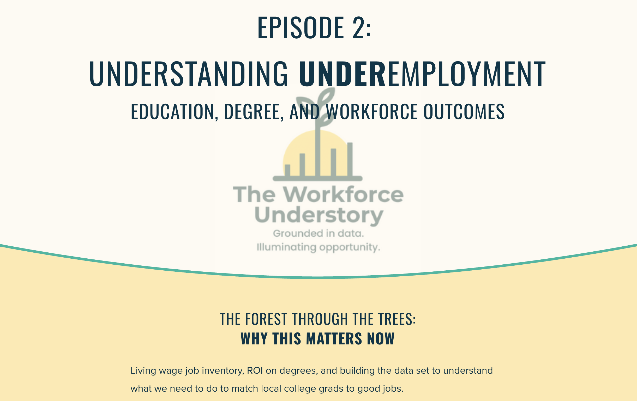 The Workforce Understory - Episode 2: Understanding underemployment