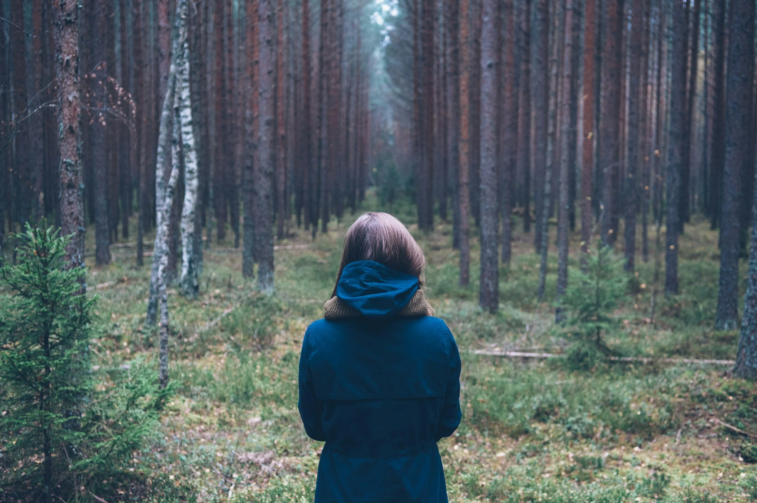 Woman standing in a forest, facing away from the camera—symbolizing reflection, solitude, and the personal journey toward intrusive thoughts treatment and OCD recovery.