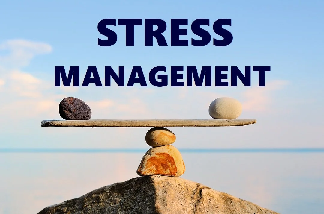 Stress Management in Toronto: A Systems Based Approach to Urban Nervous System Overload 