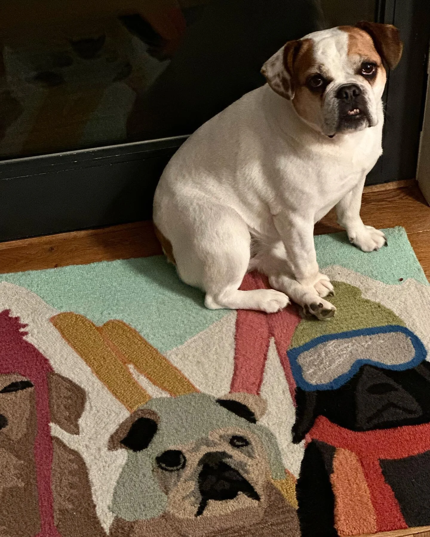 Curly Willow Interiors