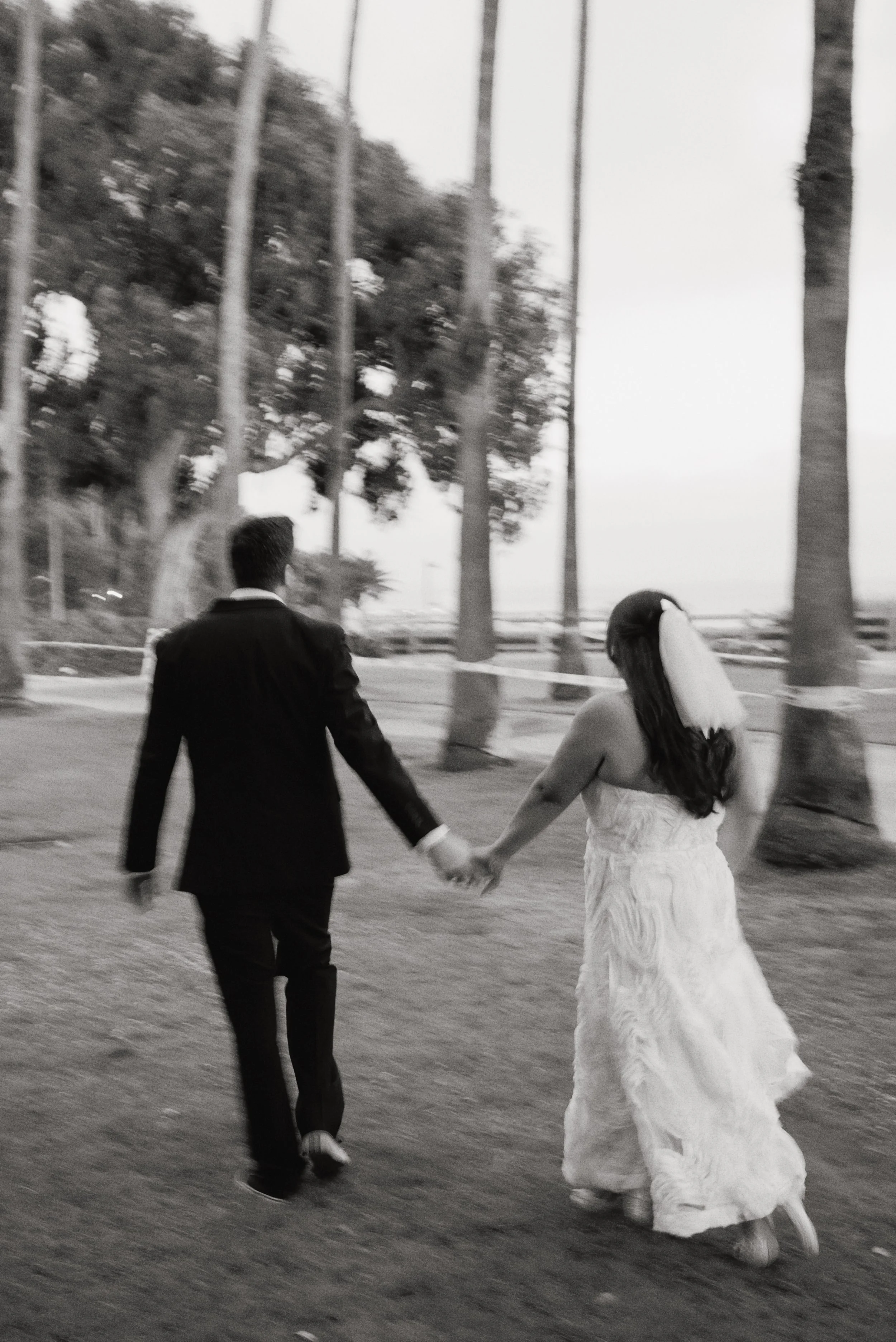 Bride and groom walking in the grass at Palisades Park in Santa Monica among the palm trees after their Cakewalk elopement ceremony.