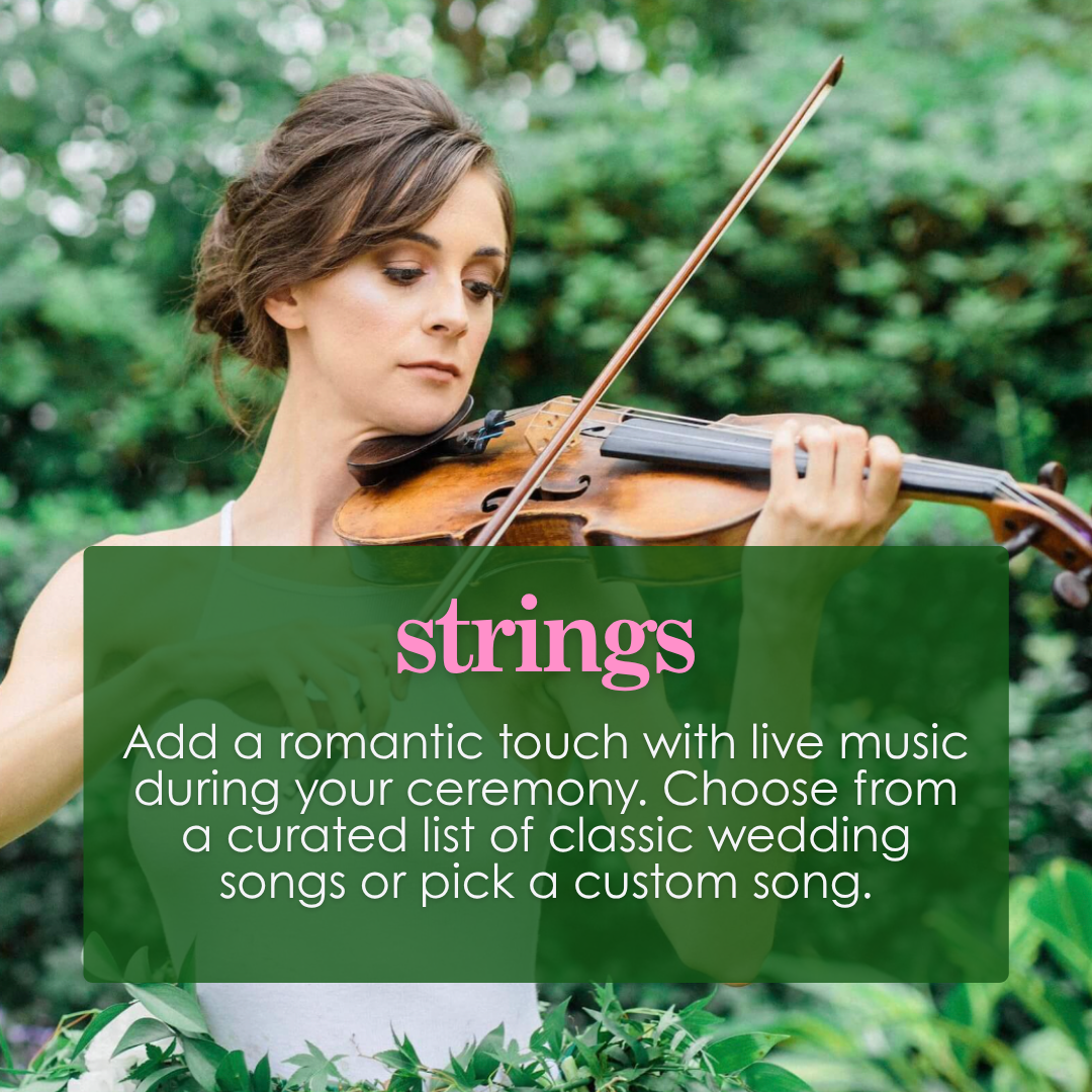 Violinist performing in a NYC park — live music add-on for Cakewalk elopement ceremonies