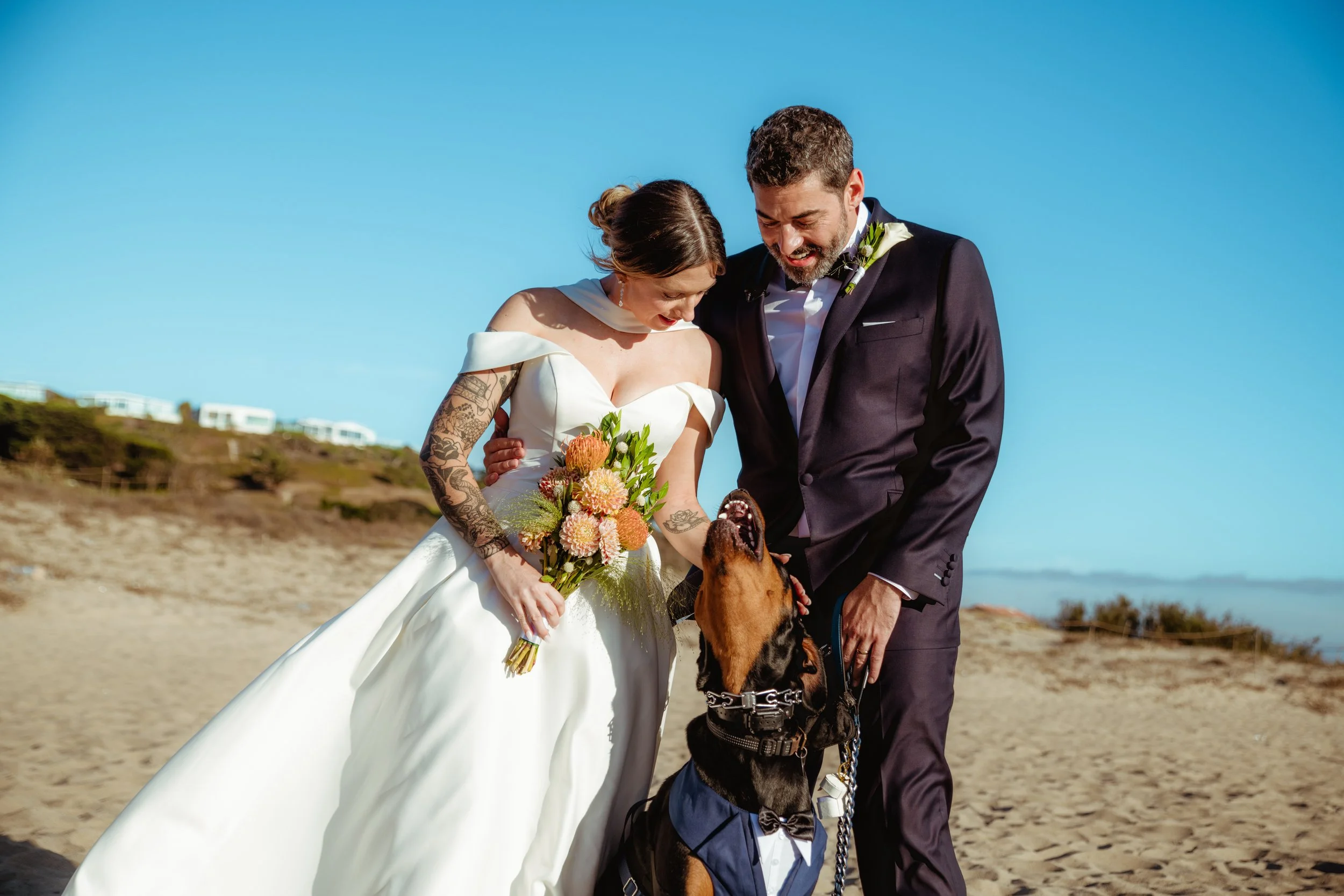 Bride and groom petting a doberman on the sand at Zuma Beach after their Cakewalk micro wedding.