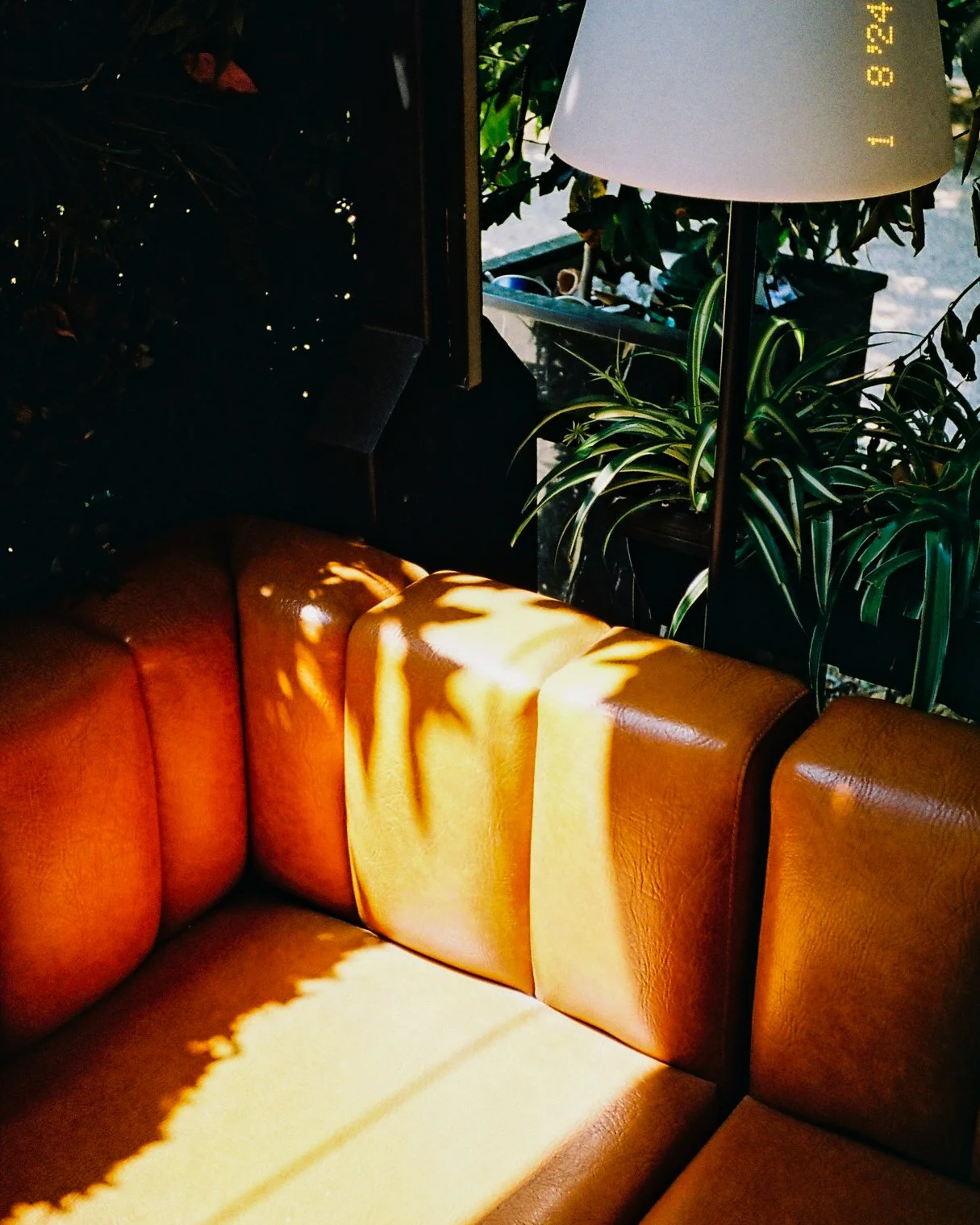 F004173-R1-18-19A.jpg