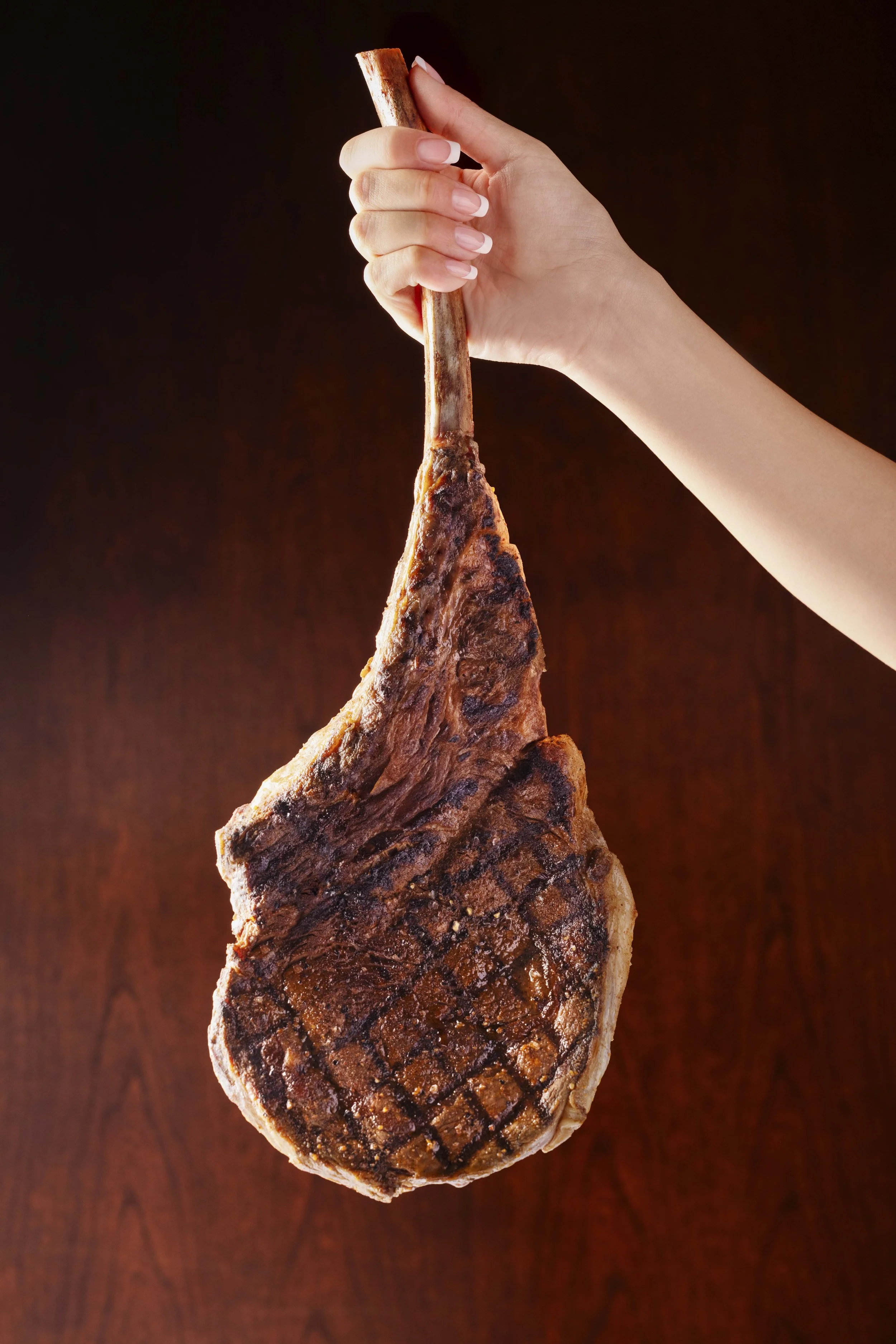 Carnivore_for_four_546_French_vw2b.jpg