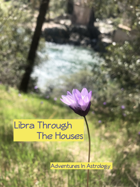 A purple flower in the foreground with a blurred river and trees in the background, overlaid with yellow text reading 'Libra Through The Houses' and 'Adventures In Astrology'.