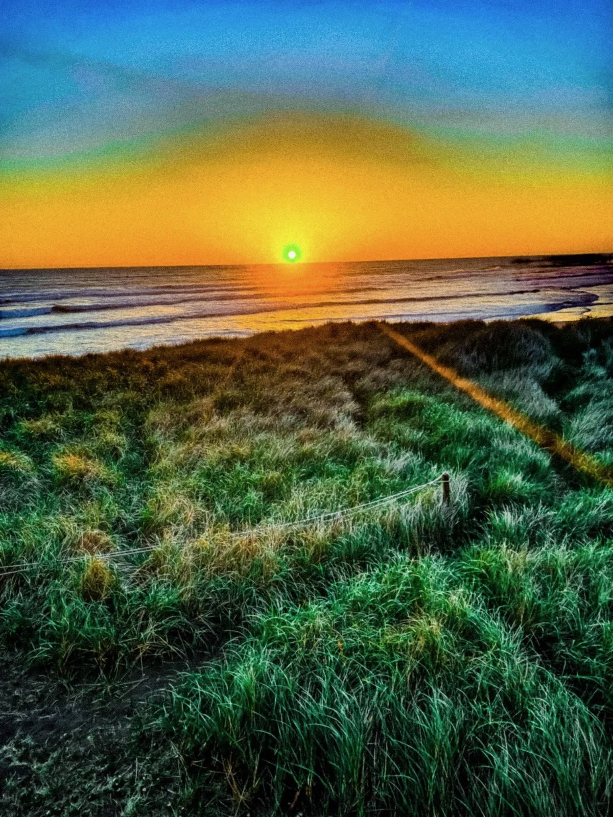 Sunset over the ocean with grassy dunes in the foreground.