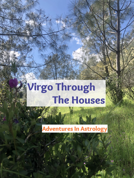 A nature scene with trees and grass under a partly cloudy sky, overlaid with text that reads 'Virgo Through The Houses' and 'Adventures In Astrology'.