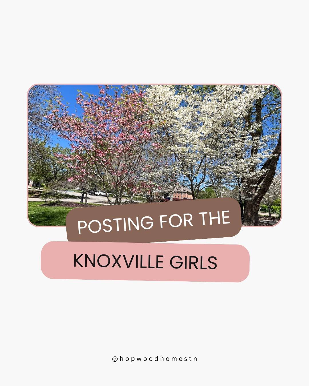 Just going to keep posting until all the Knoxville girls hit that follow button because they are brave enough to believe they could actually become a homeowner.

Because if even *one* of you takes the leap and pursues homeownership this year, it will