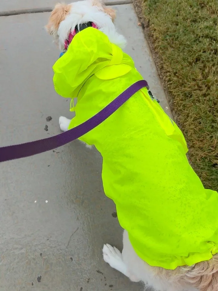 Here&rsquo;s a few things in my life that are scarier than Halloween- and even sales contingencies and overpriced homes! 👻🏠

☔️Trying to maintain potty training during FOUR straight days of rain&hellip; IYKYK. Tip: collagen chews should be given in