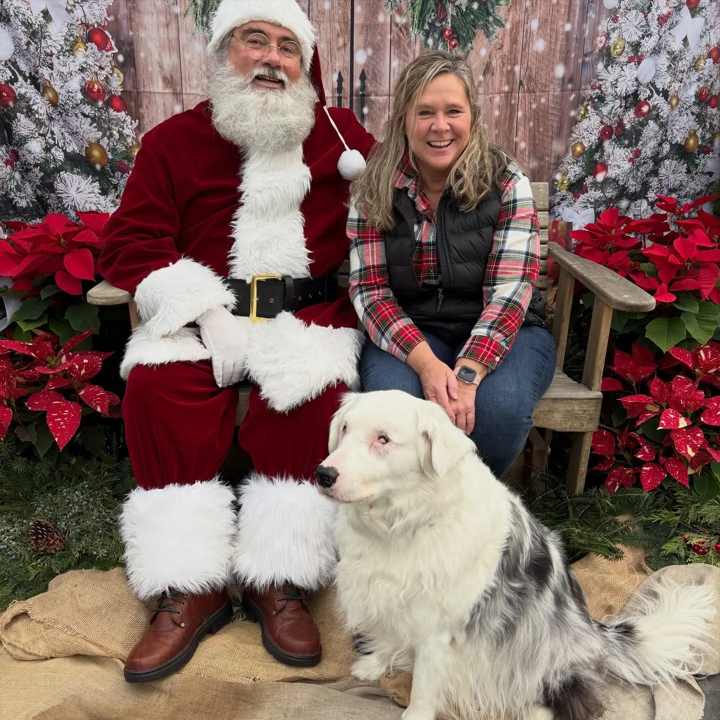 Merry Christmas! 🥰🎄

May Santa grant your wish list, and I pray Jesus fills your home with family, friends, love and blessings! 🌟