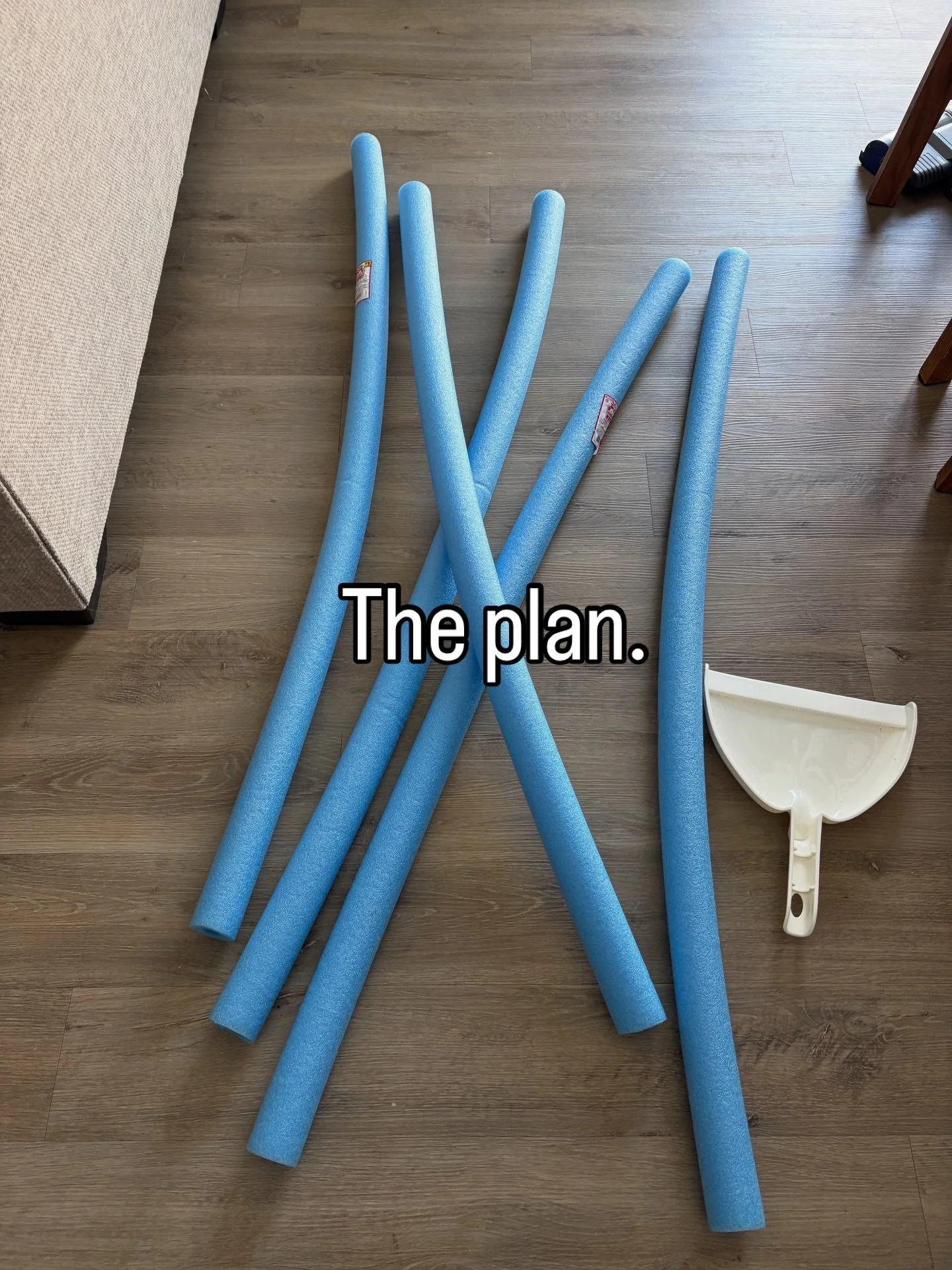 First, you have a plan.
Next, you have a Maple.
Finally, you end up with what is apparently a better plan than what you suggested. 😏

End result- exactly what you thought would happen but you tried anyway. 🤷&zwj;♀️

PS- Ranger would like everyone t