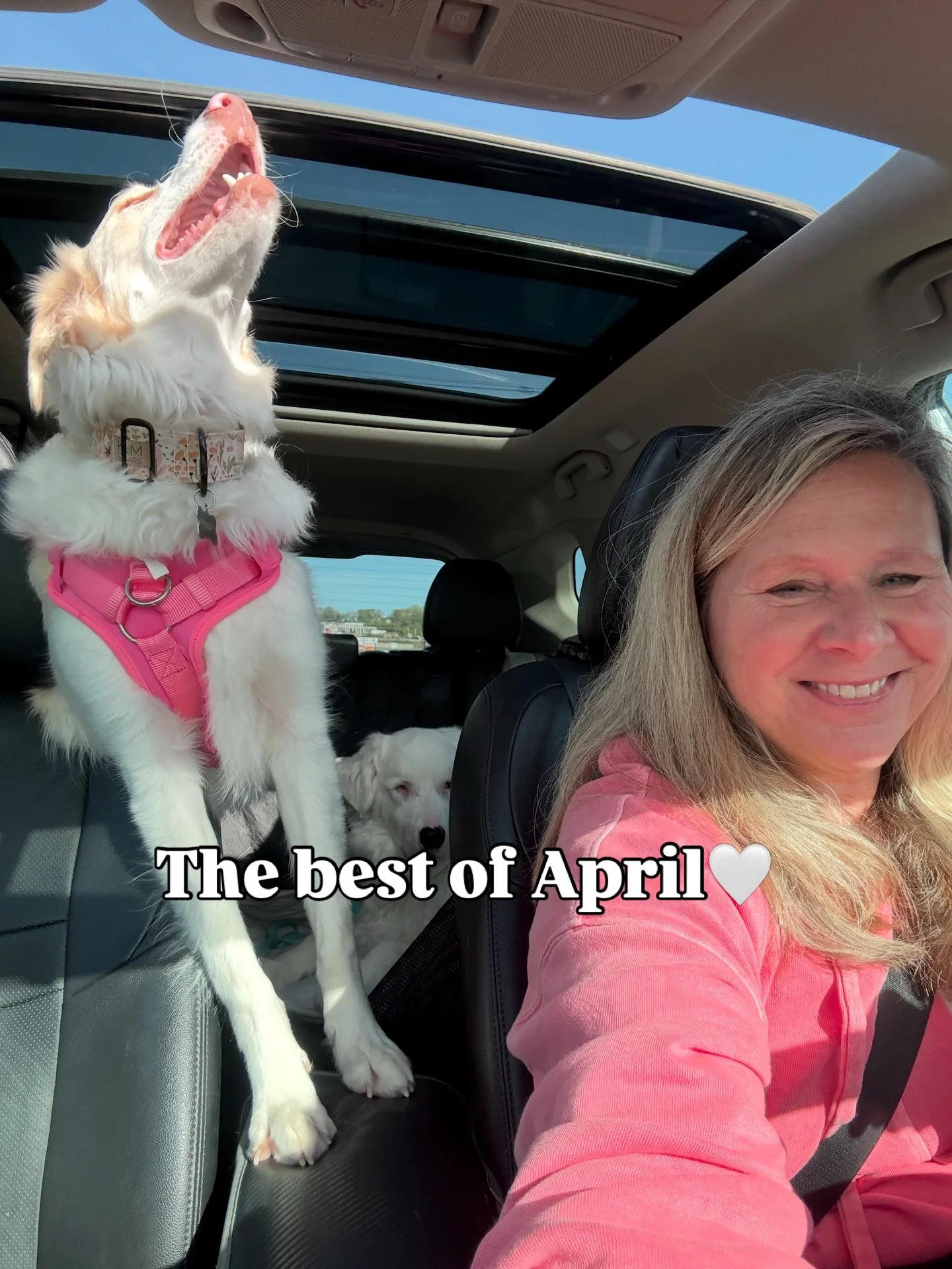 It&rsquo;s time to dump April on the feed because May is loading fast! 🤩

Easter, birthday fun on the farm, puppies and fundraisers with food out of a dog bowl, bungee fitness, gorgeous spring days, groundbreakings, and all sorts of shenanigans in b