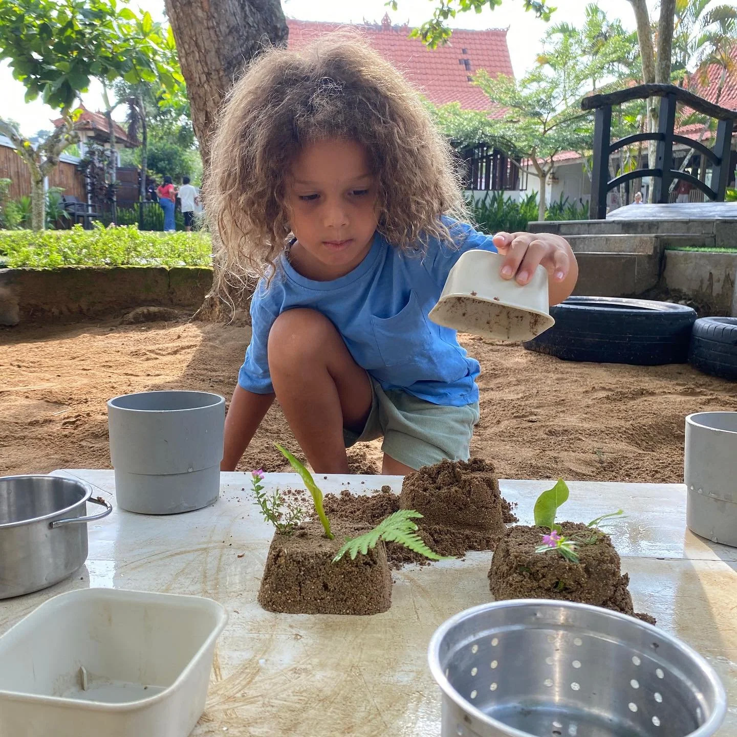 When a sand play provocation invites the children to wonder, question, measure, mix, fill, turnover and discover. The sandpit is where every scoop and shovel sparks a new investigation 🪏

#anakatelier
#theanakatelier
#greeneducation
#greencitizens
#