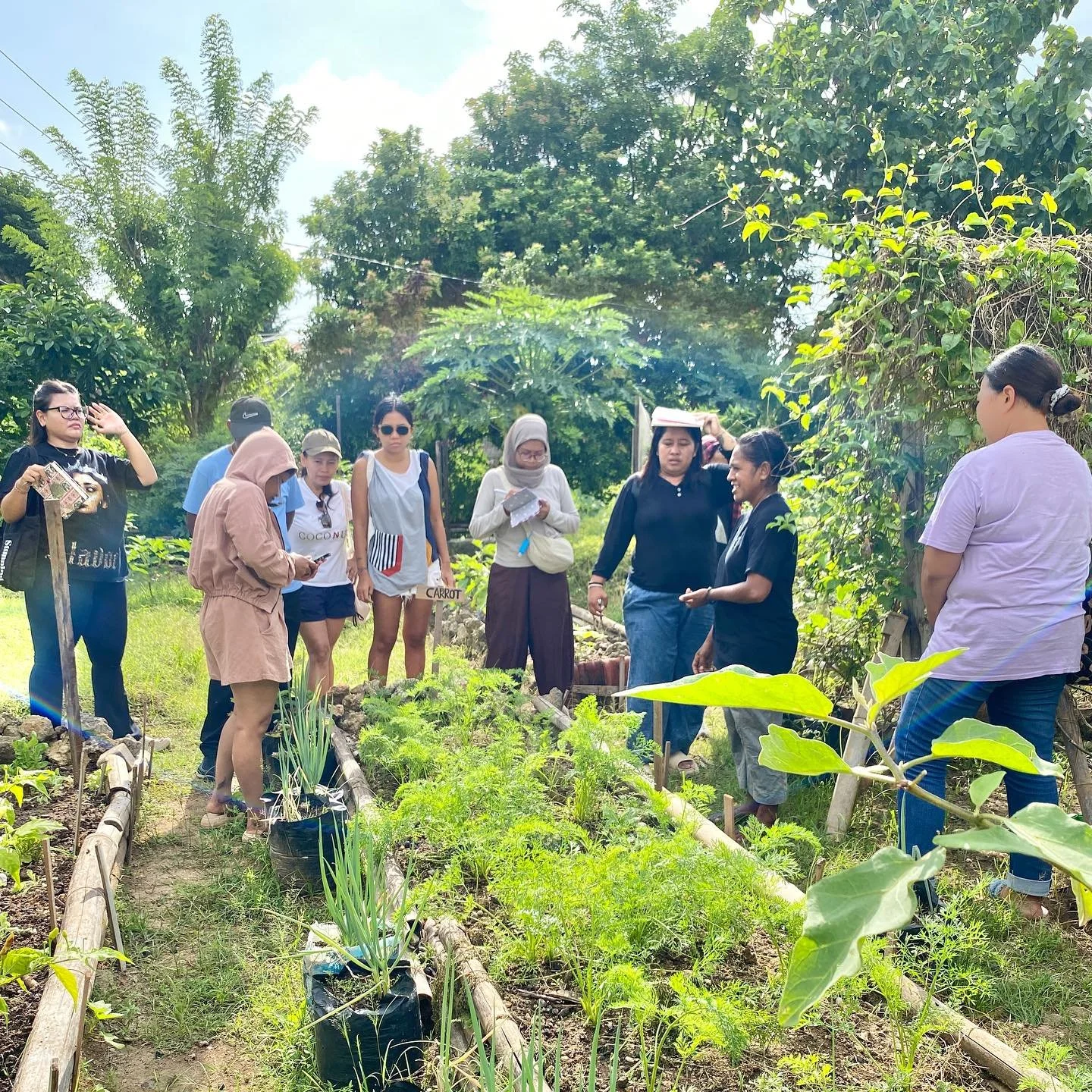 Creating an Edible Garden that thrives🌱
As part of our recent professional development training, we focused on understanding the key components for strengthening our current edible garden by selecting plants that thrive in the dry Bukit Pensula clim
