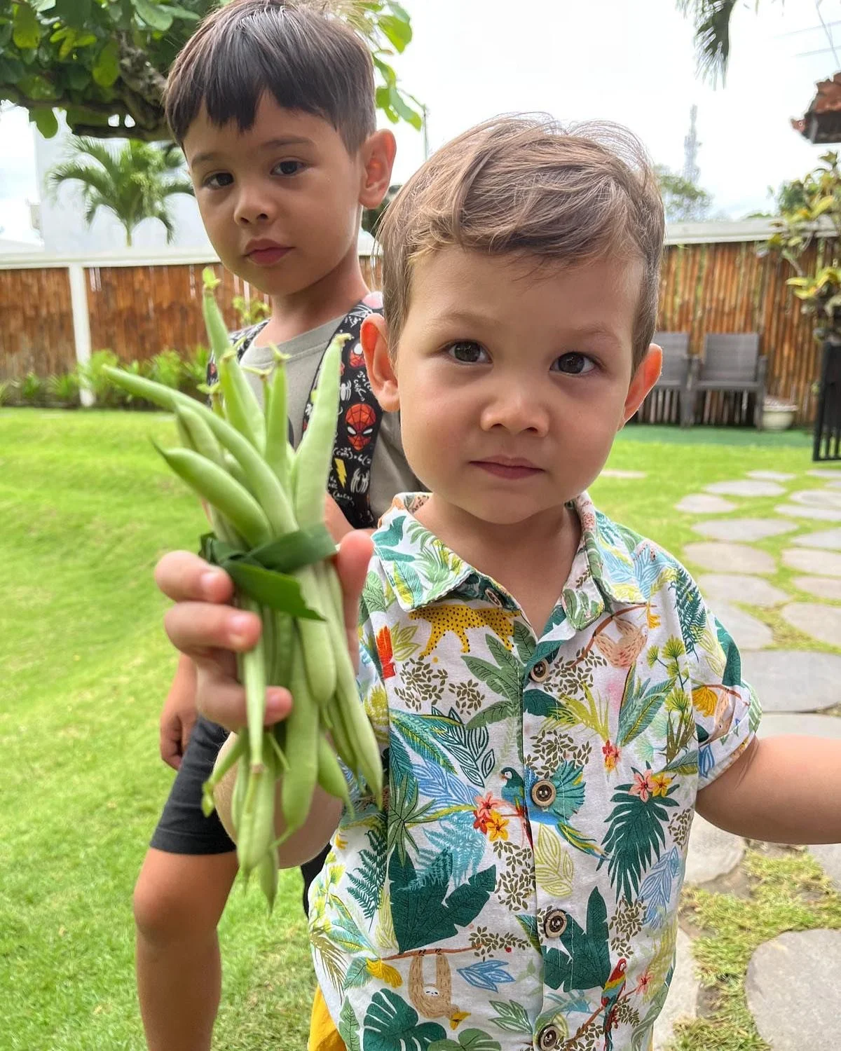 From garden to table 🌱🍳
String beans grown on our edible garden vines became a delicious golden omelette! Our learners planted, nurtured, and harvested the beans themselves, then took part in preparing and enjoying the meal together 🌱

This hands 