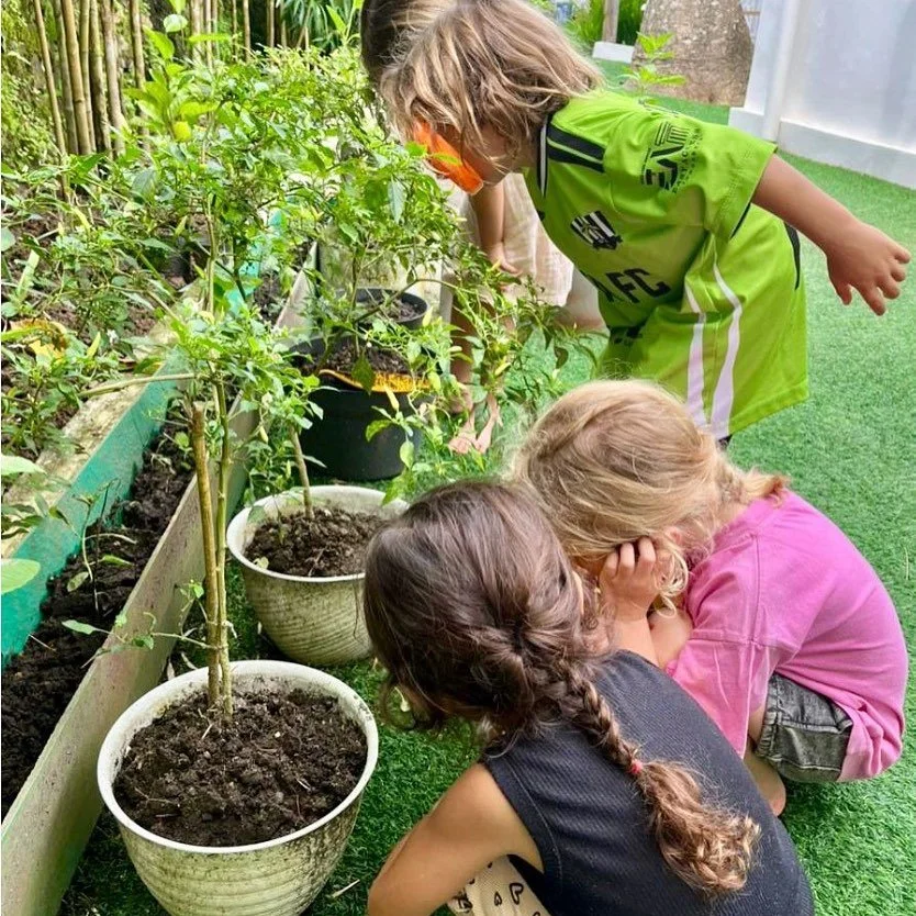 How do we know when something in our environment needs care? 🤷&zwj;♀️🌱🌳

While exploring the edible garden and the natural environment around our ELC, the children used magnifying glasses to closely observe the leaves, stems, and soil of plants an