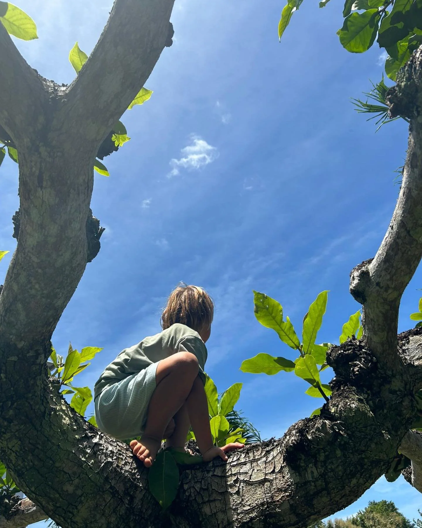 The wonder in everyday moments🌳🌞🦜

#anakatelier
#theanakatelier
#greeneducation
#greencitizens
#sustainablecitizens
#sustainableeducation
#ediblegarden
#earlylearning 
#earlylearningbali
#lifelonglearning
#atelier
#natureplay 
#naturebasedlearning