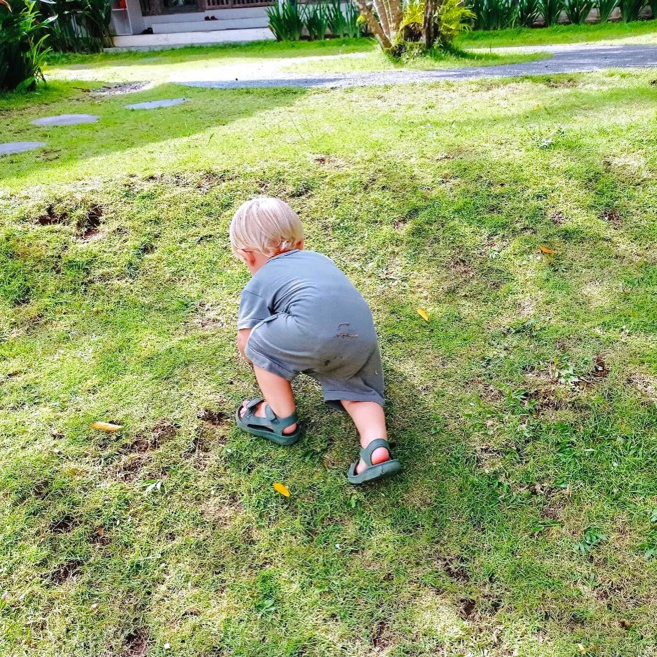 Toddler Tales: Exploring nature through touch, movement, and curiosity 🌿

#anakatelier
#balischool
#preschoolbali
#balikids
#balifamily