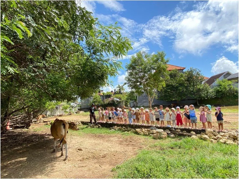 There&rsquo;s something that happens when a child stands before an animal, something no screen, no toy, no structured classroom moment can replicate. 🌿 Two living beings, meeting each other in the realest possible way. This is why connecting childre