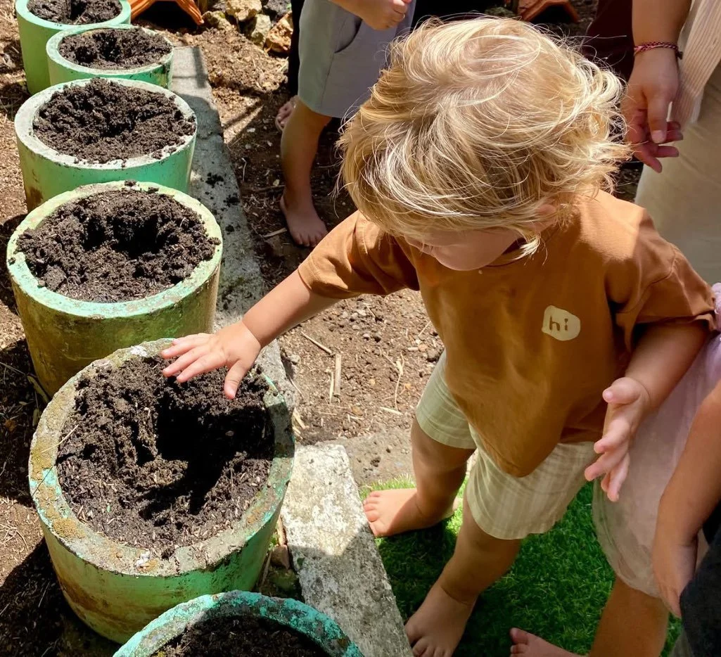 Edible Garden: Growing Watermelon Together🍉

Recently the children came together in our Edible Garden to plant watermelon seeds as part of a shared gardening experience across different classes.🌿 The garden became another learning environment where