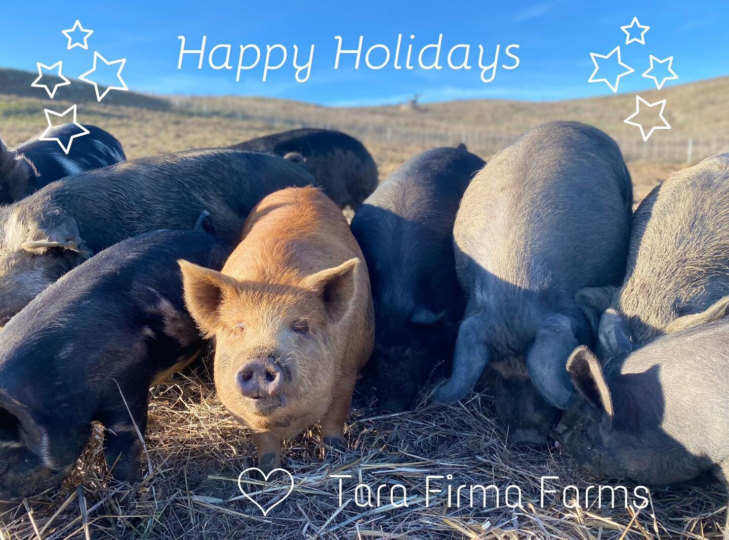 We wish you and yours a Merry Christmas from your Tara Firma Farmers. 🎄