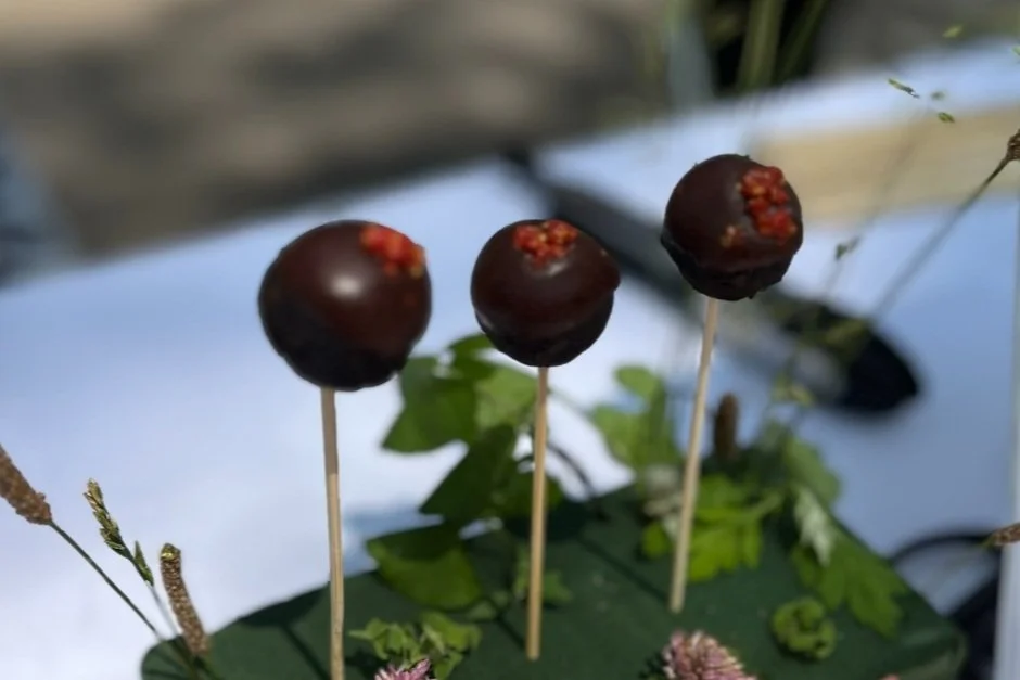 Pro: Black Bean Bites with Chocolate, Chia Seeds and Cranberry