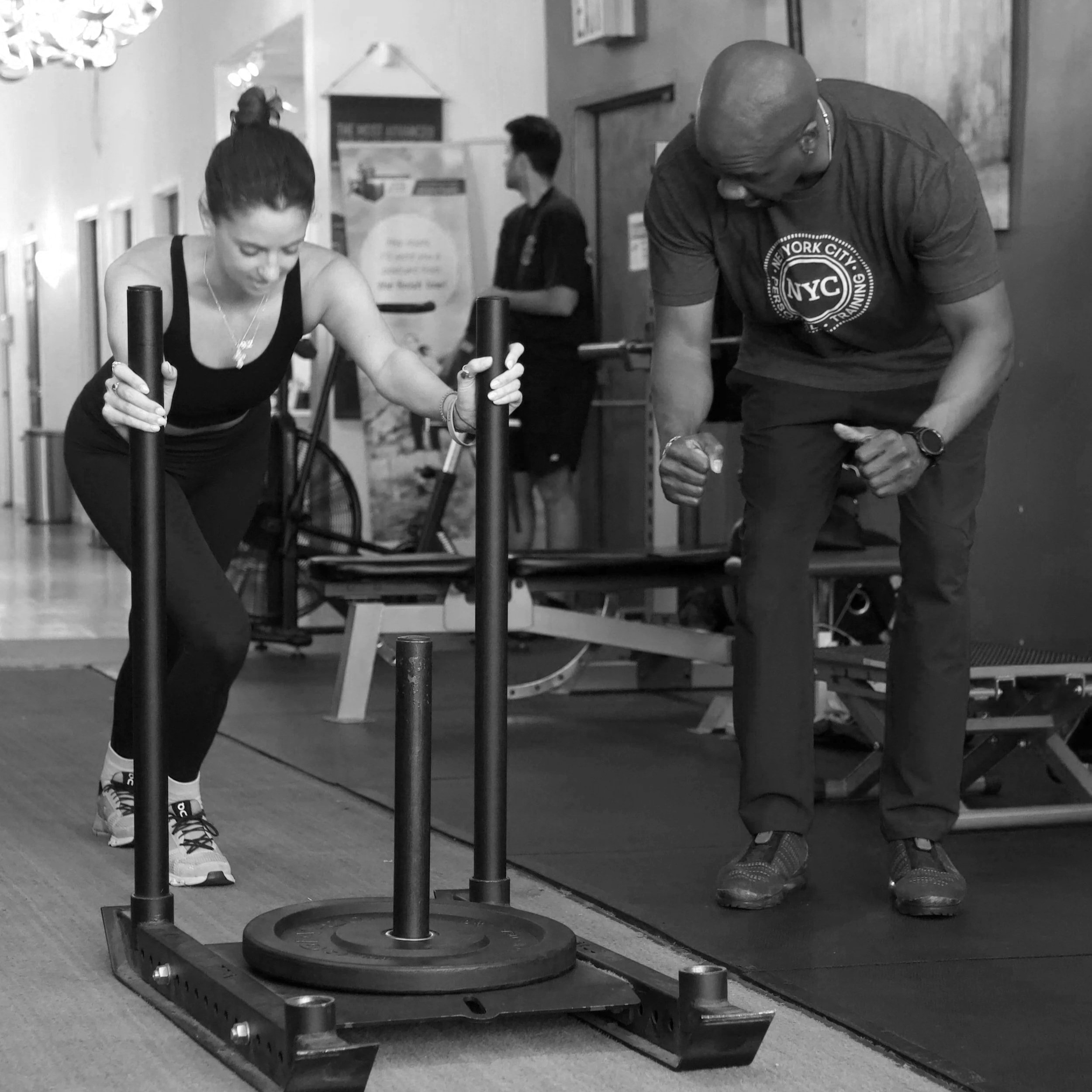 6 Month Bridal Cut Program