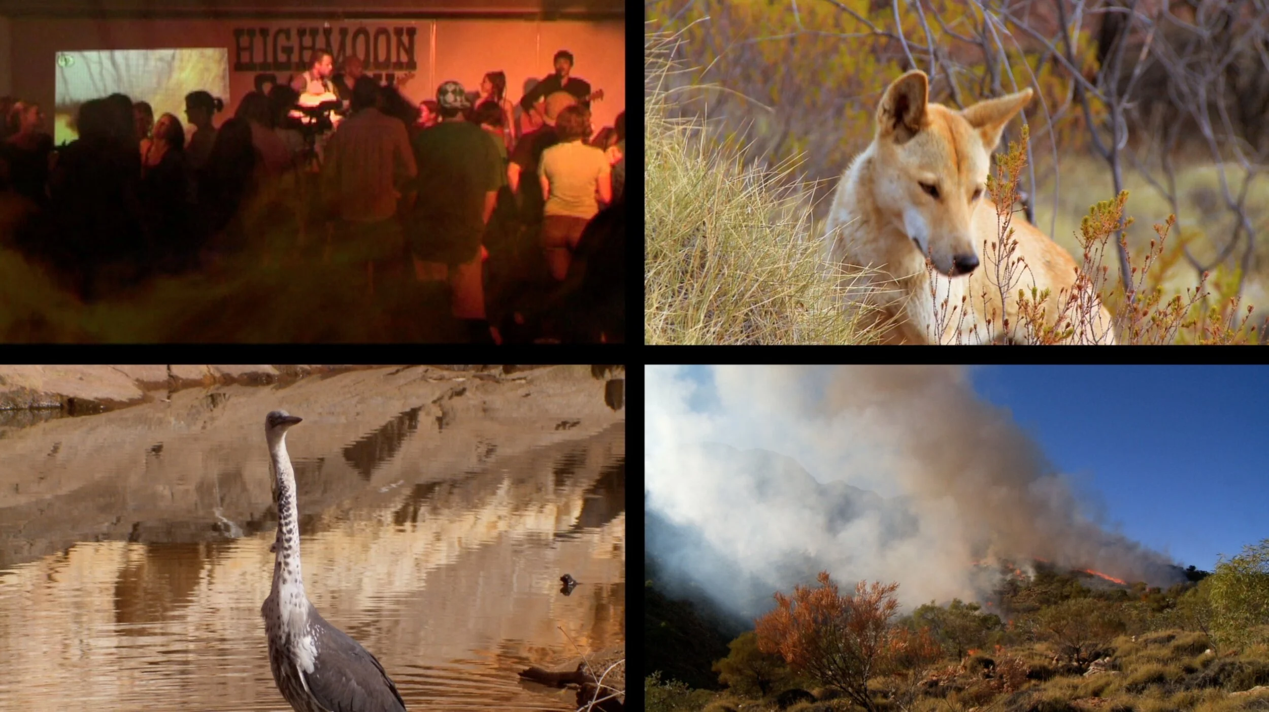 Alice Desert Festival 2009 gig, Araluen Centre