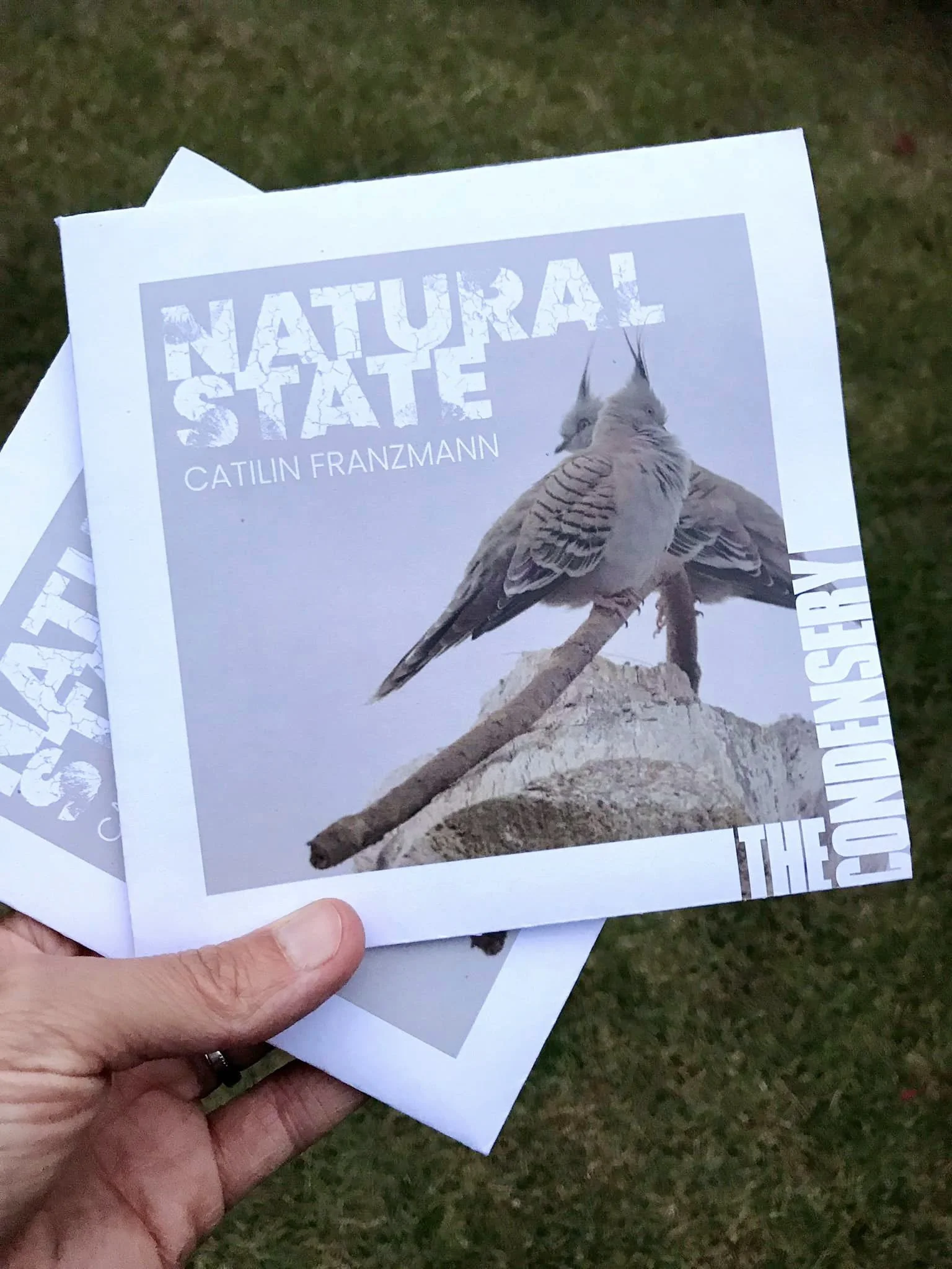 © Walking Story_Natural State_Condensery_2022.jpg