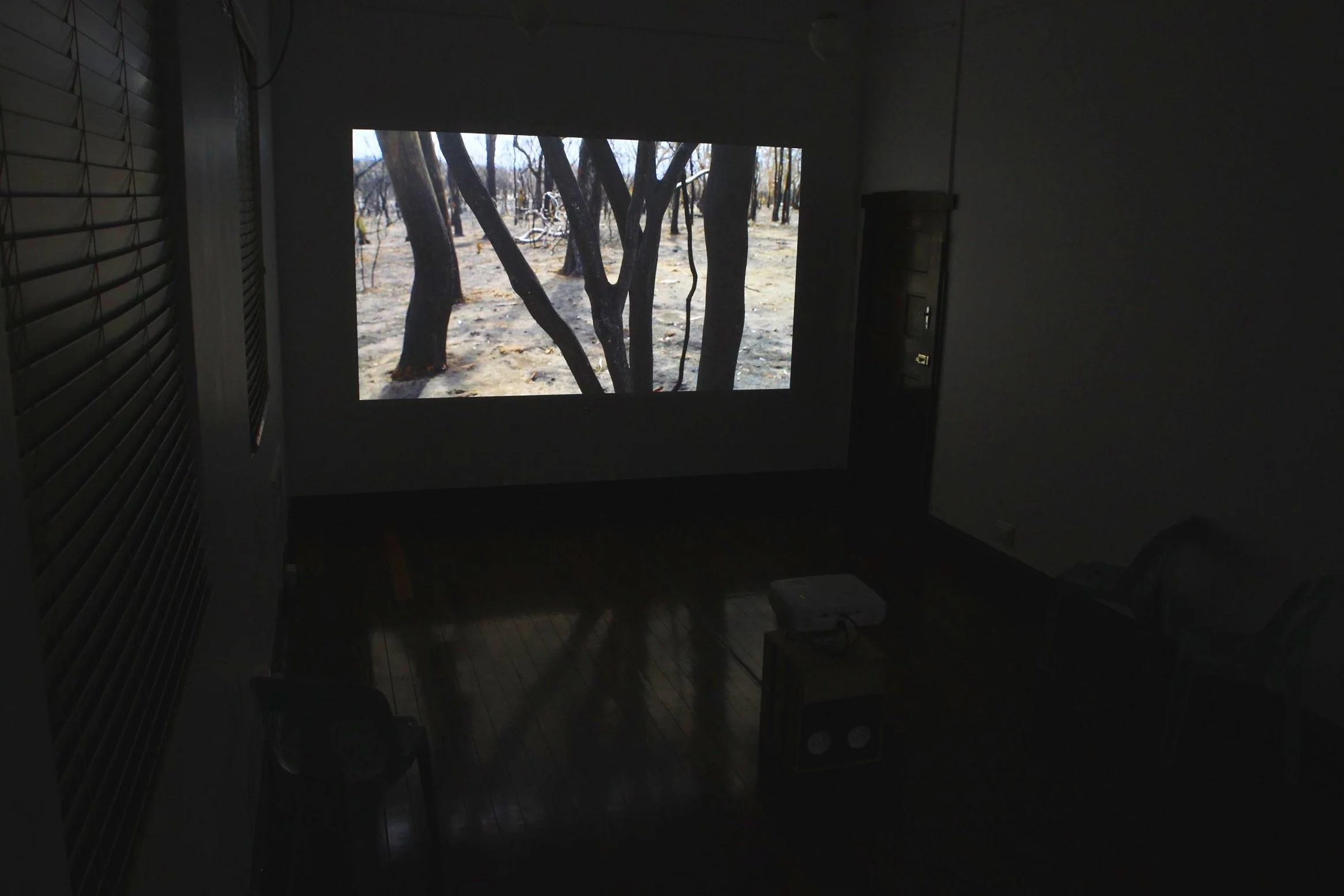 Something Akin Gallery Projection