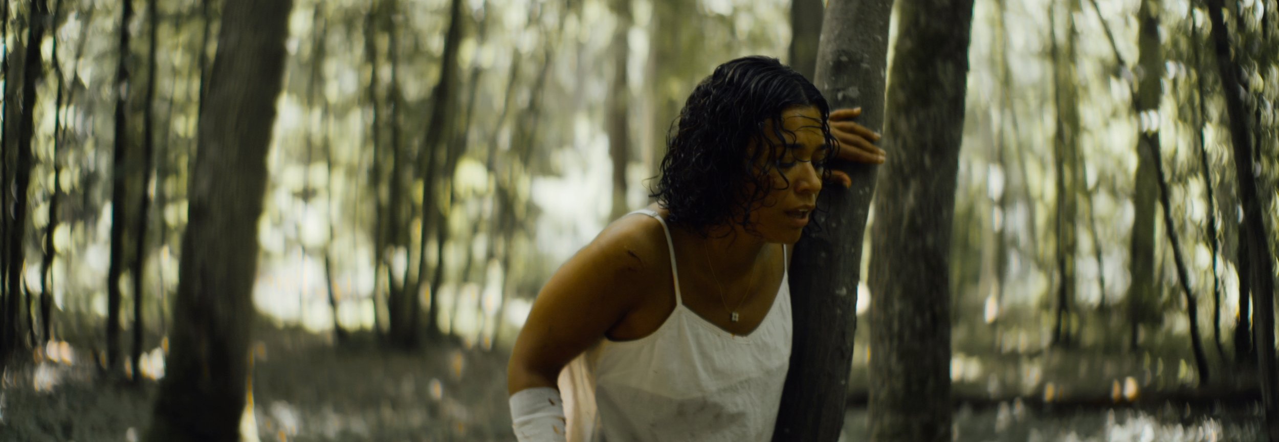 export try2_1.41.4.jpg