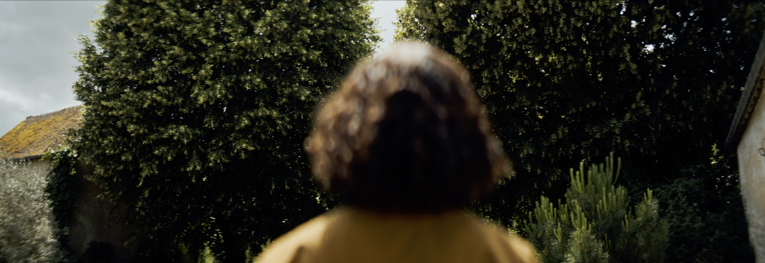 Screenshot 2025-12-31 at 13.42.54.png