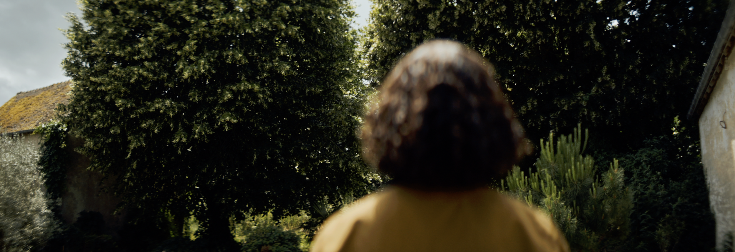 Screenshot 2025-12-31 at 13.43.07.png