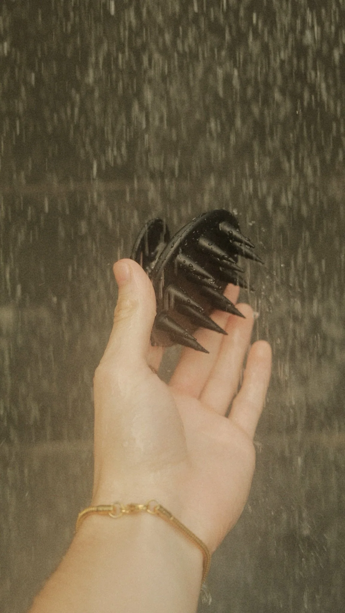 2AB8F12F-003E-4D1A-B8DE-4F748F48093B-7024-00000120D7CF185A Edited.jpg