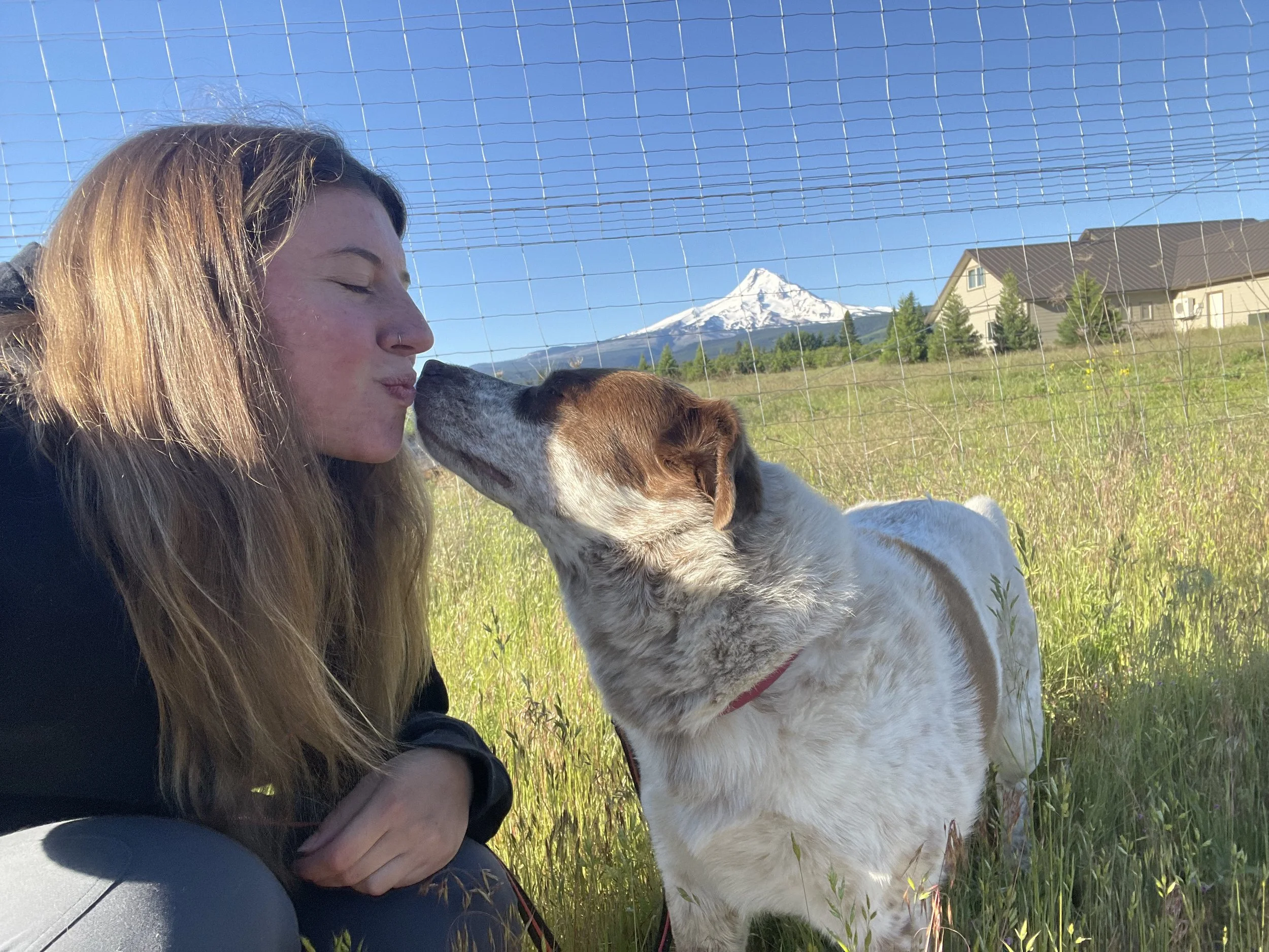A woman and a dog touching noses outdoors in front of a Mountain, possibly Mount Hood, with houses and trees in the background.