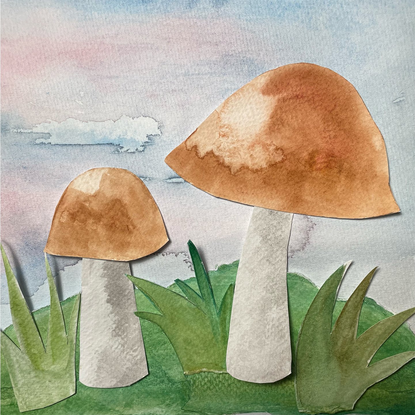 mushroom_collage_3.jpg