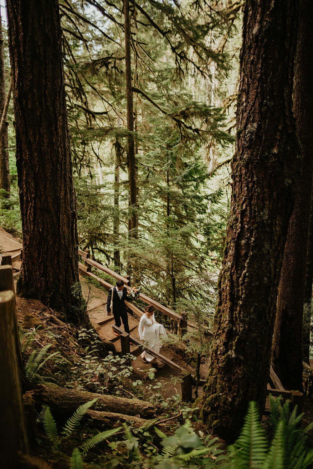Eloping couple walking down wooden stairs through a dense forest, surrounded by massive tree trunks, ferns, and filtered green light.
