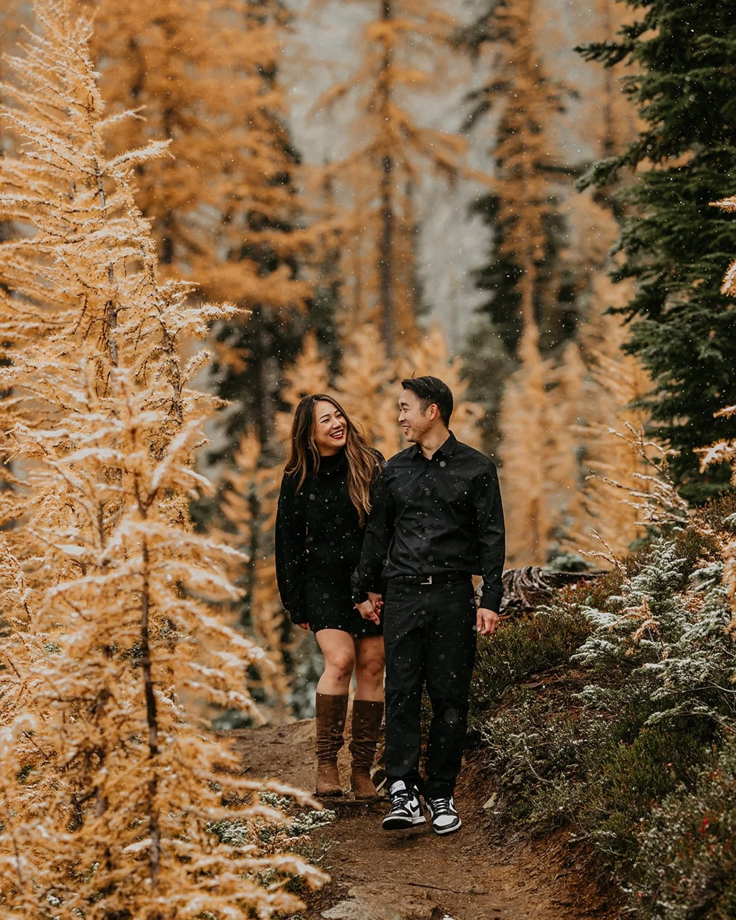 💛 Larch season = blink-and-you&rsquo;ll-miss-it magic 🌲✨

Every fall in Washington, something kinda remarkable happens: For just a couple of weeks (usually late Sept through mid-Oct) high-elevation evergreen trees turn gold before dropping their ne
