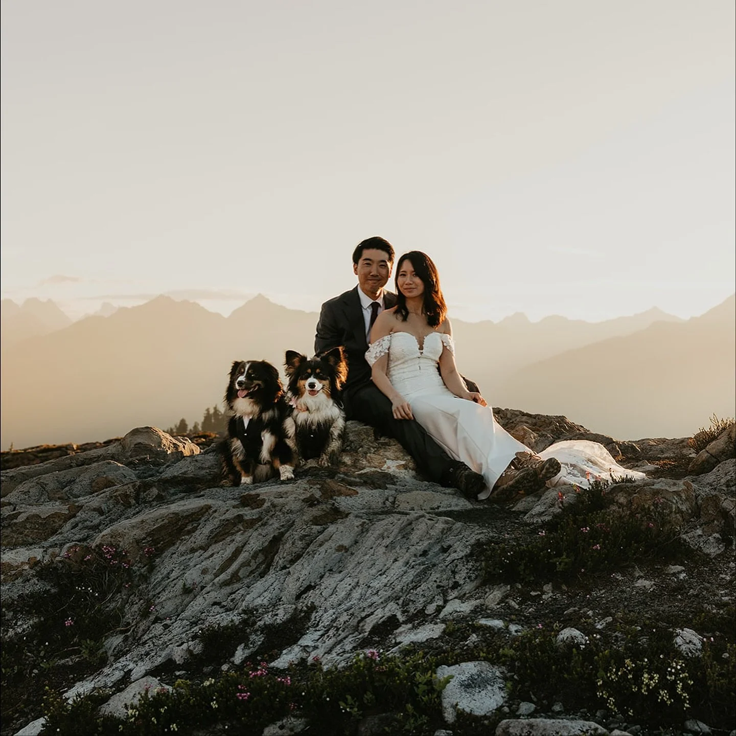 🐾PRESENTING: THE DOGS OF 2025🐾

Not only did many of my couples this year choose to include their dog in some way on their elopement day, I got to make so many sweet puppy friends that shared their muddy paws, wet noses, and excited lil butts with 