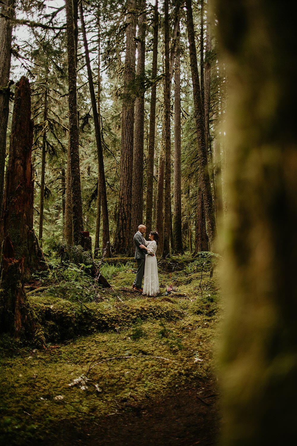 The Complete Guide for Your Olympic National Park Elopement (2026 Update)