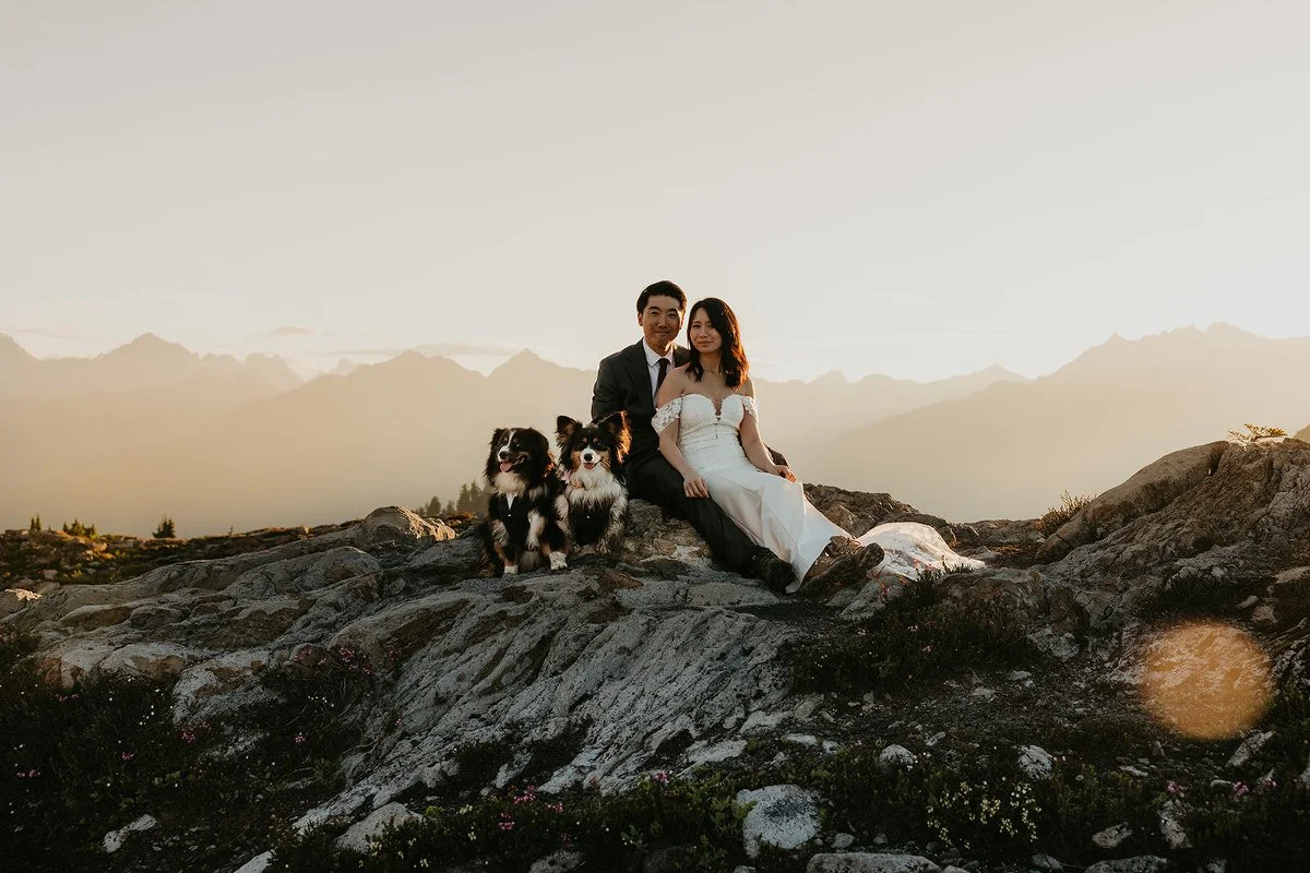 Bride and groom sitting on a rocky overlook with two dogs beside them during sunrise.jpg