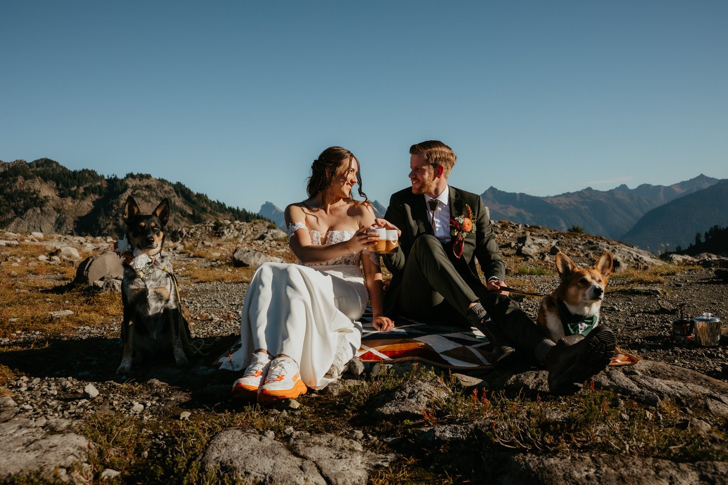 mountaintop-picnic-couple-dogs.jpg