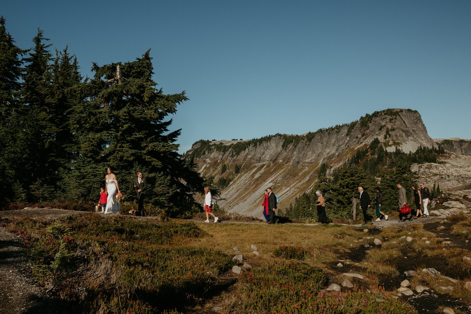 artist-point-wedding-processional-guests.jpg